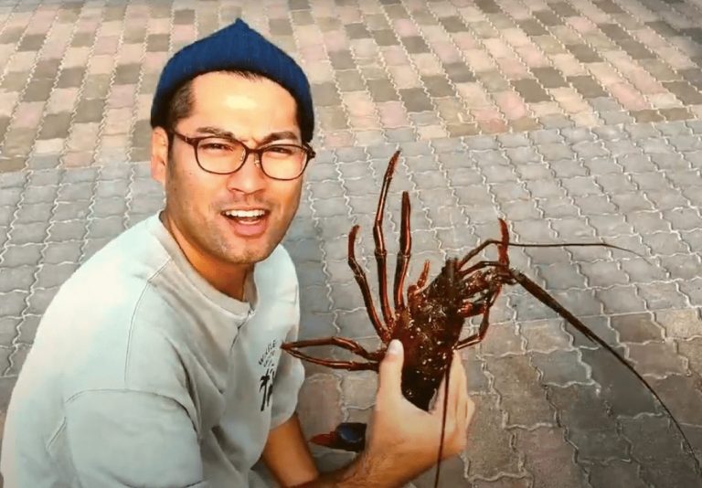 音楽と地域の可能性をつなぐ（はっしーさん）